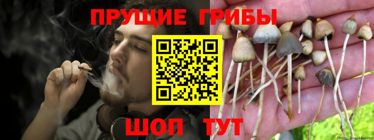 Дедовск  Псилоцибиновые грибы ЛСД  Вход с VPN 